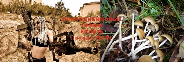 винт Аркадак