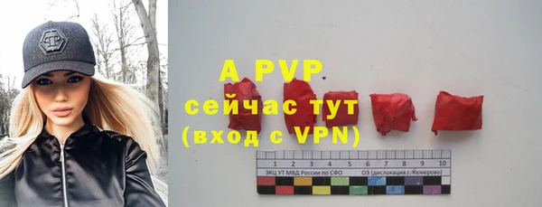 винт Аркадак