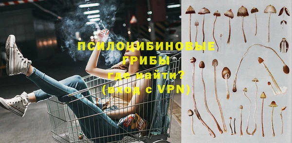 винт Аркадак