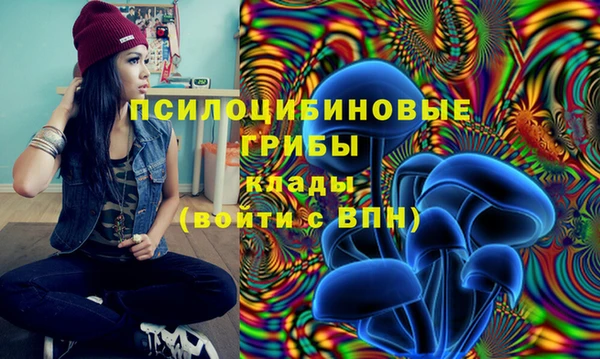 альфа пвп Арсеньев
