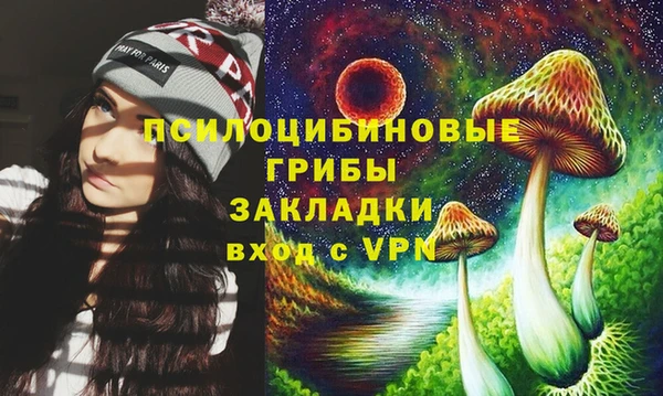винт Аркадак